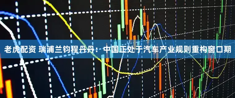 老虎配资 瑞浦兰钧程丹丹：中国正处于汽车产业规则重构窗口期
